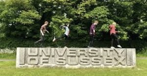Geoffrey Oldham Memorial Scholarship At University Of Sussex