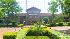 AfricaLics Trilateral Chair PhDs Scholarships