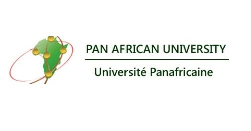 African Postgraduate Scholarships