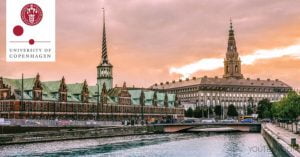 International PhD Fellowship