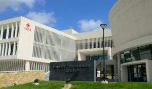 International PhD Scholarship at University of Dar es Salaam in Tanzania 2020 International PhD Scholarship