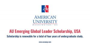 Emerging Global Leader Scholarship